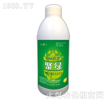 ۾G-ֲ｡LM(jn)Һ1000ml-m