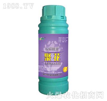 ۻ-ֲ｡LM(jn)Һ100ml-m