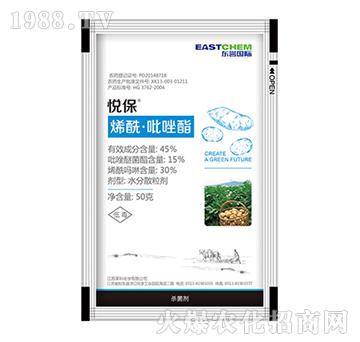 45%ϩ--RƻW(xu)