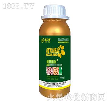 Ko-ֲ300ml-֮