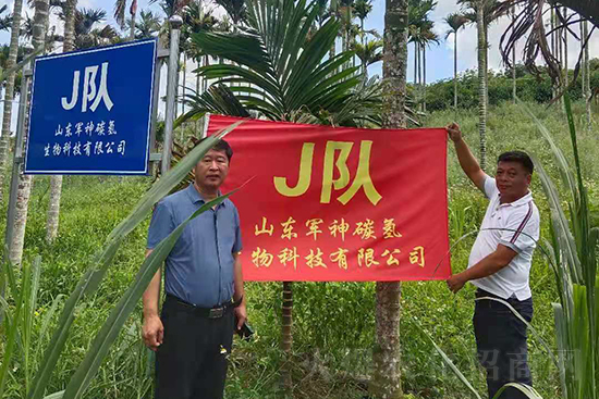 萬寧黃化防控比武基地-碳氫核肥檳榔基地示范效果