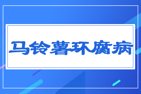 馬鈴薯環腐病