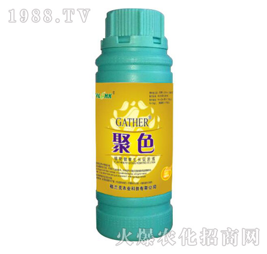 ɫ-ֲ｡LMҺ100ml-m