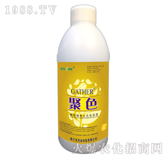 ɫ-ֲ｡LM(jn)Һ1000ml-m