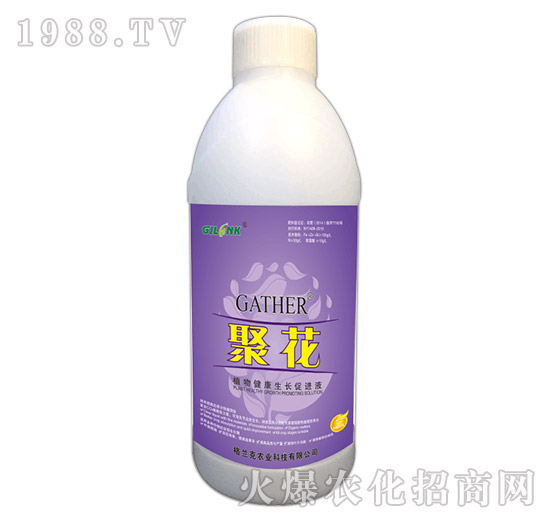 ۻ-ֲ｡LMҺ1000ml-m