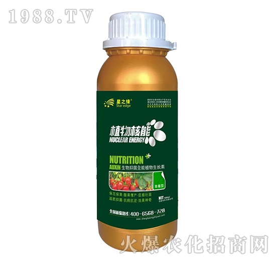 草莓型-植物核能300ml-星之緣