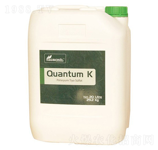 Quantum K-ָ