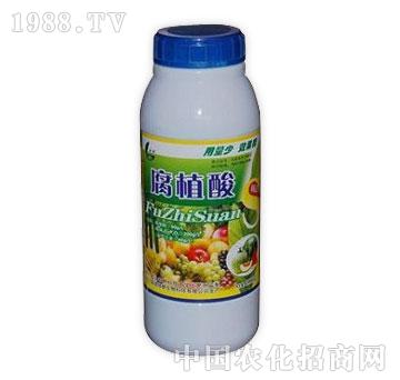 G-ֲ1000ml