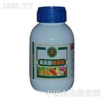 G-S֬500ml