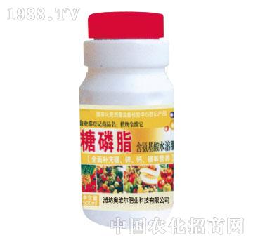 WS-֬500ml