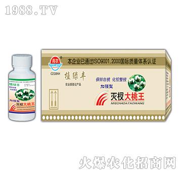 50g辴-挚r