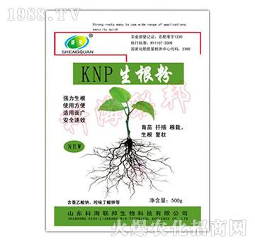 KNP500g-