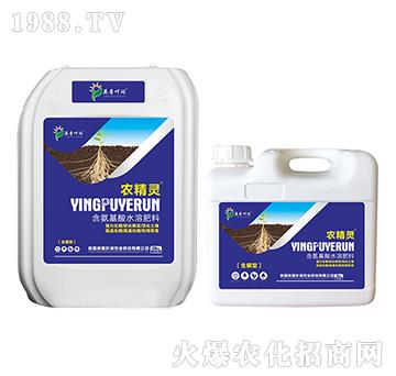 生根型含腐植酸水溶肥料-農精靈-英普葉潤