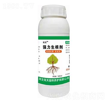 500ml(qing) 