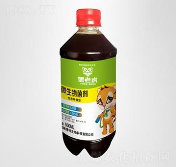 500ML΢-ϻ-|rʘI